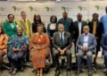 African Wealth Tax Guide Aims to Boost Government Revenue