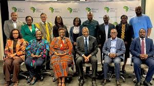 African Wealth Tax Guide Aims to Boost Government Revenue