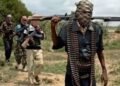 Niger Village Attacks: 30 Killed, Hundreds Livestock Stolen