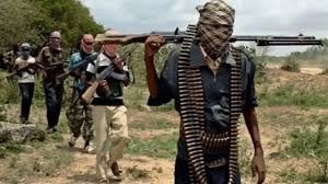 Niger Village Attacks: 30 Killed, Hundreds Livestock Stolen