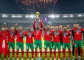Maduka Okoye injury sidelines Super Eagles goalkeeper