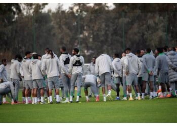 Super Eagles Friendlies: Ndidi Completes Squad in Turkey