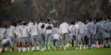 Super Eagles Friendlies: Ndidi Completes Squad in Turkey