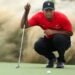 Tiger Woods Treatment Approved for Overseas Care