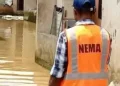 NEMA