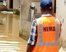 NEMA