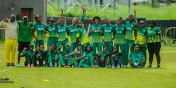 Cricket
