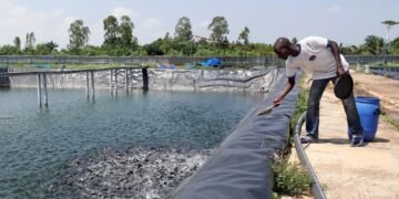 Fish farming