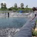 Fish farming