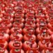 cooking gas