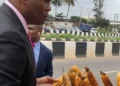 Elumelu