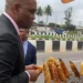 Elumelu