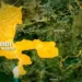 Kebbi