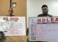 NDLEA