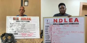 NDLEA