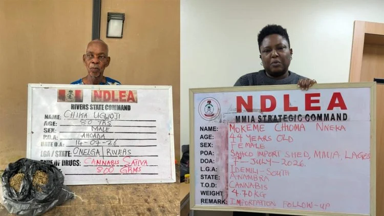 NDLEA