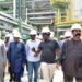 dangote