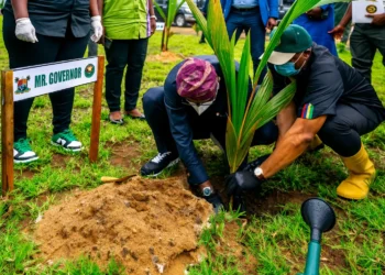 tree planting